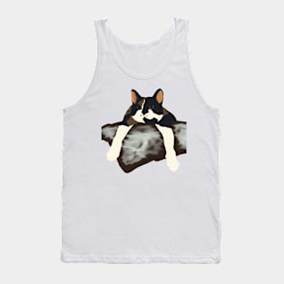 Luna the Calico Tank Top